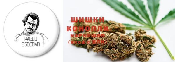 эйфоретик Надым