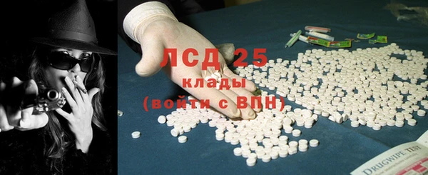 винт Вяземский