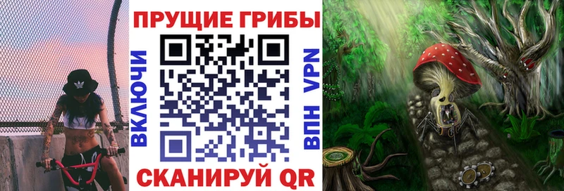 Галлюциногенные грибы Cubensis  Дятьково 