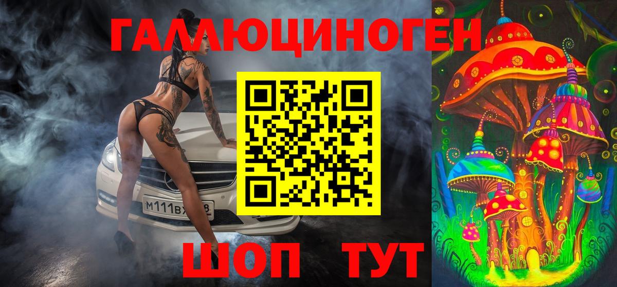 купить наркоту  Псилоцибиновые грибы GOLDEN TEACHER  Вход с VPN  Дятьково 
