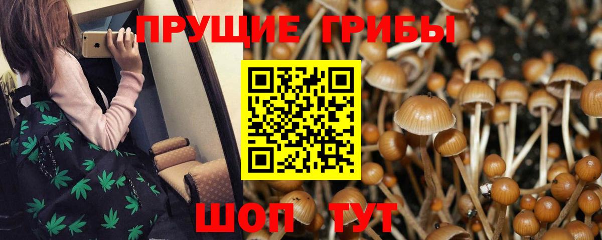 Меф МЯУ МЯУ кристаллы  МЕТ  АМФЕТАМИН кристаллы  Alpha-PVP СОЛЬ кристаллы  Меф   Дятьково  Конопля  Конопля  Кокаин  ГАШ  Где продают наркотики? 